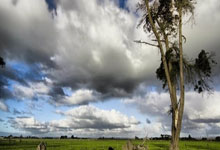 今晚结果如何?拜仁历史上从未输过柏林联合,战绩为胜平.