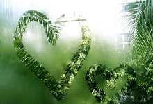 九游娱乐官网:希罗发底线球长传阿德巴约,热火半场前最后一攻打出精妙配合.