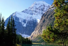 奥地利-塞尔维亚,格雷戈里奇破门,拉扎尔-萨马尔季奇救主.